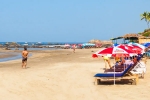 Best Monsoon Beaches in Goa list, Best Monsoon Beaches in Goa list, goa s best monsoon beach escapes, Tree