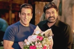 Chiranjeevi Salman Khan movie, Chiranjeevi Salman Khan announcement, official god father team confirms salman khan s cameo, Lucifer remake