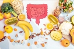 Gut Health in season, Good Gut Health  food, how to maintain good gut health, Intolerance