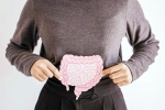 Gut, Gut Vs Skin, your gut decides about your skin, Nv prasad