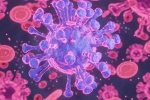 HMPV Virus, HMPV Virus case small baby, first hmpv virus case detected in india s bengaluru, Hmpv virus cases