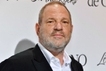British Film Institute, Harvey Weinstein, uk probe into harvey weinstein s sexual assaults widens with seven women, British film institute
