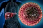 Gilead Sciences, Hepatitis C, good news india may soon get treatment for hepatitis c, Lower breast cancer risk