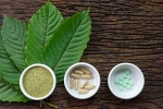 lifestyle, disorders care, this pain treating herbal supplement is not safe for use, Opioid