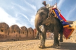 heritage spots in India, india tours and travels, 10 best heritage tours in india, Mamma