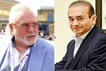 Indian Fugitives to extradite news, Indian Fugitives to extradite list, five fugitives india is trying to extradite, Businessman