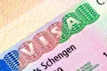 Schengen visa for Indians new visa, Schengen visa for Indians 2024, indians can now get five year multi entry schengen visa, Germany