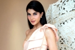 Jacqueline Fernandez scam, Jacqueline Fernandez files a case, jacqueline fernandez files complaint against sukesh chandrashekhar, Money