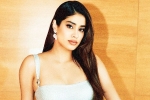 Janhvi Kapoor, Janhvi Kapoor, buzz janhvi kapoor in allu arjun s next, Sukumar