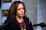 tax day, tax returns, kamala harris releases tax returns of 15 years, Democratic presidential campaign