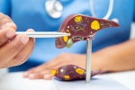 Liver Health medication, Liver Health care, factors that worsens your liver health, Cancer
