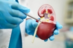 Creatinine Levels breaking, Lower Creatinine Levels for health, tips to lower your creatinine levels, Red meat