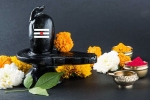 sawan shivratri 2019, mahashivratri 2019 isha, maha shivratri 2019 visit these lord shiva temples to witness best of the maha shivratri, Maha shivratri