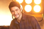 Mahesh Babu new film, Mahesh Babu latest, mahesh babu getting bollywood beauty for his next, Sarileru neekevvaru