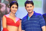Pooja Hegde upcoming biggies, Pooja Hegde next movie, mahesh babu all set to romance pooja hegde again, Maharshi