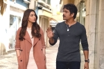 Manmadhudu 2 movie review, Manmadhudu 2 movie review, manmadhudu 2 movie review rating story cast and crew, Rahul ravindran