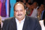 Mehul Choksi Indian government, Mehul Choksi breaking news, mehul choksi s extradition india s assurance to belgium, Punjab Mehul Choksi Indian government, Mehul Choksi breaking news, mehul choksi s extradition india s assurance to belgium, Punjab