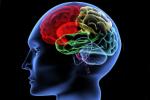 Alzheimer disease, mental activity, brain use it or lose it, Alzheimer disease