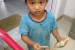 importance of humanity, humanity wins, mizoram kid accidentally injures a chick and takes it to hospital with all money he had, Mizoram importance of humanity, humanity wins, mizoram kid accidentally injures a chick and takes it to hospital with all money he had, Mizoram