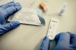 Coronavirus, Coronavirus, monkeys get protection against coronavirus through a prototype vaccine, Monkeys