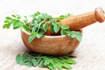 Moringa diet, Moringa diet, is moringa a must have in your diet, Str