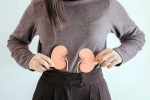 Kidneys Health latest, Kidneys Health habits in the morning, morning habits to keep your kidneys healthy, Rape