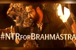 Brahmastra, Brahmastra budget, ntr turns chief guest for brahmastra event, Back pain