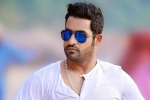 NTR updates, NTR exclusive, ntr s jai lava kusa updates, Nannaku prematho