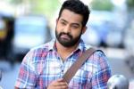 NTR updates, NTR news, official ntr s next film locked, Sardar gabbar singh