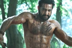 Ramaraju for Bheem latest updates, Ramaraju for Bheem review, ramaraju for bheem ntr s deadly transformation as komaram bheem, Birth anniversary Ramaraju for Bheem latest updates, Ramaraju for Bheem review, ramaraju for bheem ntr s deadly transformation as komaram bheem, Birth anniversary
