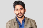 Love Story, Naga Chaitanya, interesting title for naga chaitanya s next, Majili Love Story, Naga Chaitanya, interesting title for naga chaitanya s next, Majili