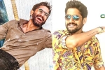 Naga Chaitanya new films, Naga Chaitanya breaking news, naga chaitanya gearing up with two films, Sushant