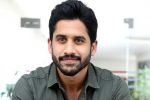 Naga Chaitanya about Bangarraju, Naga Chaitanya new flms, naga chaitanya coming up with a strong lineup of films, Chinni