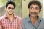 Srinu Vaitla, Srinu Vaitla next film, naga chaitanya to work with srinu vaitla, Mister