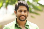 Naga Chaitanya news, Naga Chaitanya next movie, naga chaitanya signs his next, Yuddham saranam