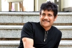 Nagarjuna upcoming films, Akhil, nagarjuna s 100th film will be a multi starrer, Wild dog