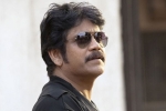 Nagarjuna news, Ammitabh Bachchan, nag signs a bollywood flick, Devadasu