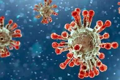 New China Coronavirus Variant Traced In India