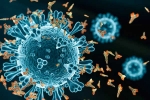 XEC Covid Variant symptoms, XEC Covid Variant, new xec covid variant detected in 27 countries, Omicron