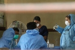 Hyderabad virus, Nipha virus in hyderabad, nipah virus alerts hyderabad with symptoms from two suspected victims, Nipah virus