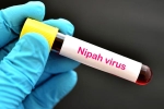 suspected Nipah Virus, Nipah Virus first case, nipah virus is back again two deaths registered, Health minister