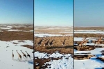 OpenAI Video Platform, Sora, openai s ai video platform sora is here, Scrat