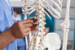 Osteoporosis medication, Osteoporosis treatment, prevention and treatment of osteoporosis, Older people