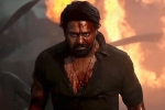 PVR and INOX on Salaar, PVR and INOX, pvr and inox degrading act on salaar, Hanu raghavapudi
