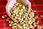 Pistachios, Pistachios updates, pistachios are a perfect protein snack, Sebastian