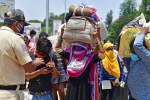 lockdown, labourers, plight of migrant workers baby shakes to wake up deceased mother, Ashok bhushan