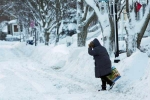 polar vortex forecast, US midwest, polar vortex extreme colds hits u s midwest 21 killed, South dakota