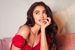 Pooja Hegde new movie, Pooja Hegde news, pooja hegde in talks for a biggie, Ssmb28