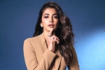 Pooja Hegde lines up Bollywood Films