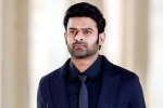 Prabhas and Maruthi film, Prabhas upcoming movie, new updates of prabhas and maruthi film, Boman irani